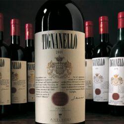 Великие вина Италии: Сассикайя и другие супертосканские вина